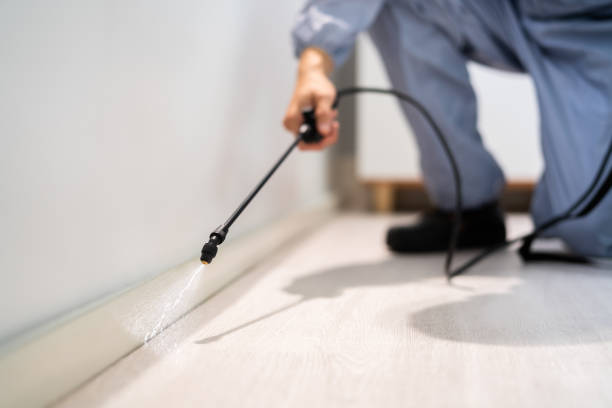 Licensed Termite Control service in Tiffin, OH - Show Me Pest Control