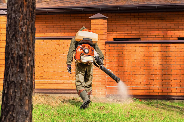 Top rated local Mosquito Control specialists in Tiffin, OH